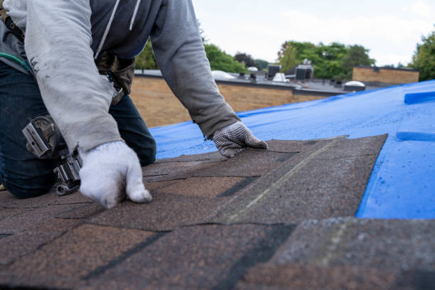 Best Storm Damage Roof Repair  in Port Arthur, TX